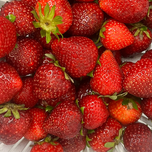 Fun Seasonal Summer Flavors!