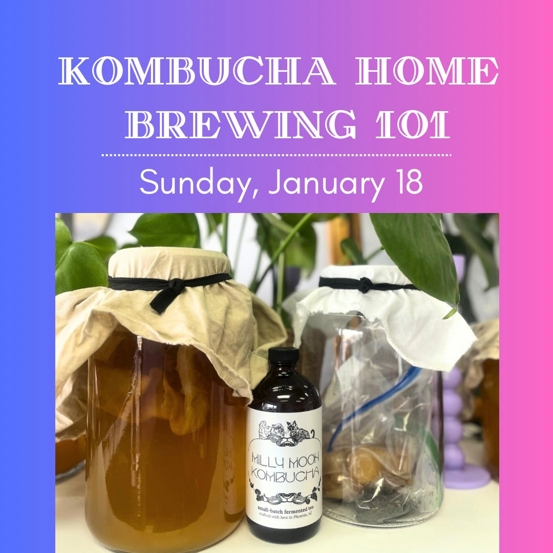 Kombucha Home-brewing 101 - January 18